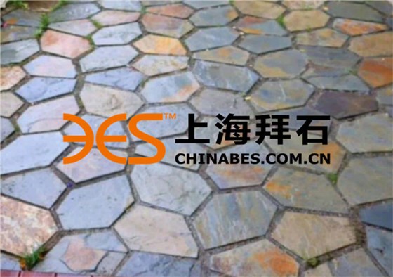 timg (3).jpg timg (3).jpg