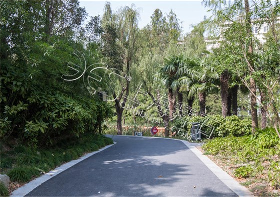 彩色防滑路面 彩色防滑路面