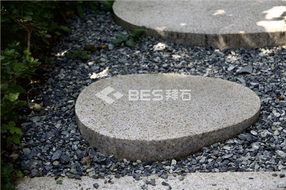 _M8A3843.jpg