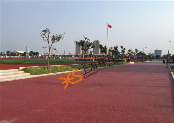 彩色艺术透水路面.jpg 彩色艺术透水路面.jpg