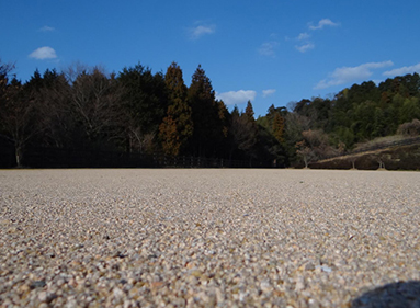 生态素土